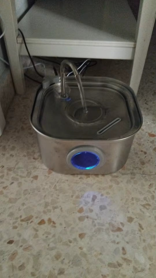 Patrick W., Wellington