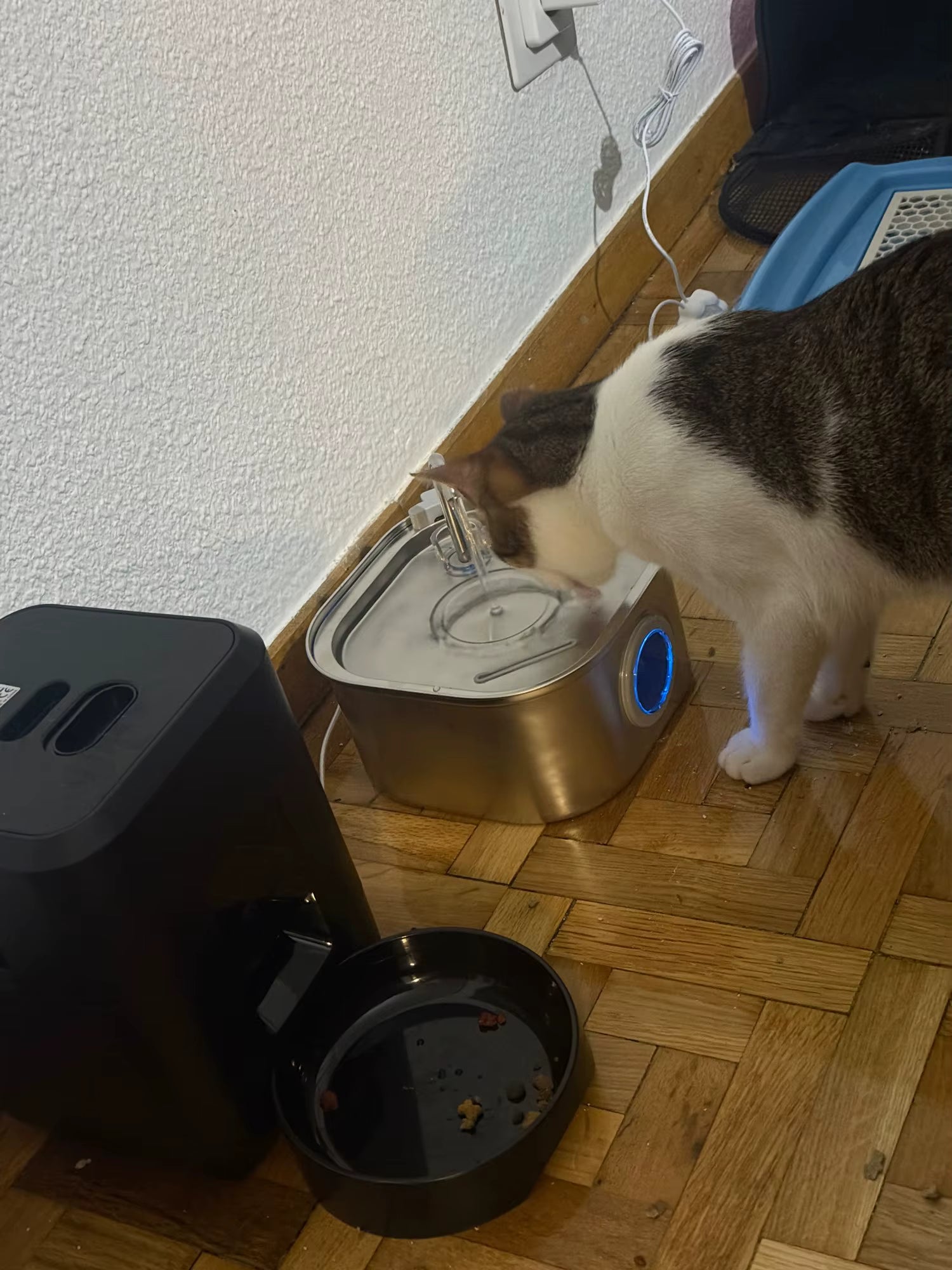 Jonas K., Manchester