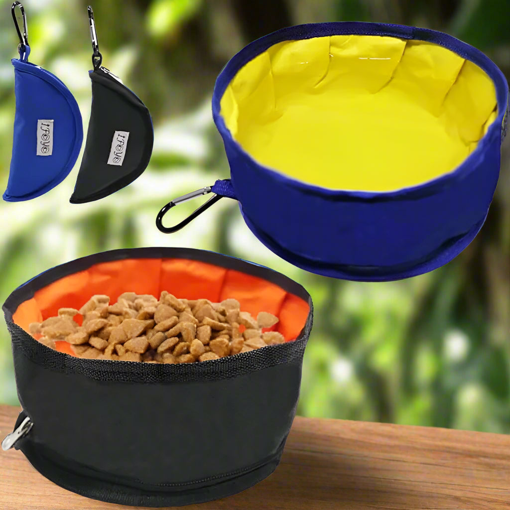 comfy avoguard softcollar for pets to help healing