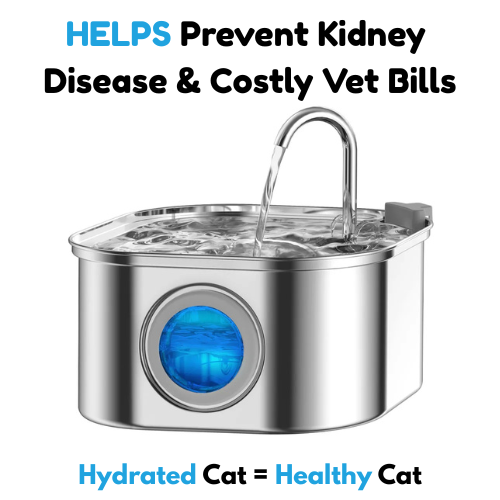 Drinkwell Fountain™ Automatic 3.2L Stainless Steel Cat Water Fountain