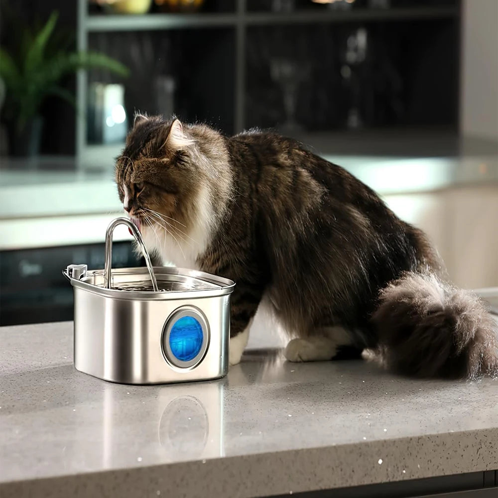 Drinkwell Fountain™ Automatic 3.2L Stainless Steel Cat Water Fountain